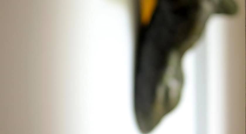 Room & Vespa Suite 1