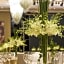 The St. Regis Changsha