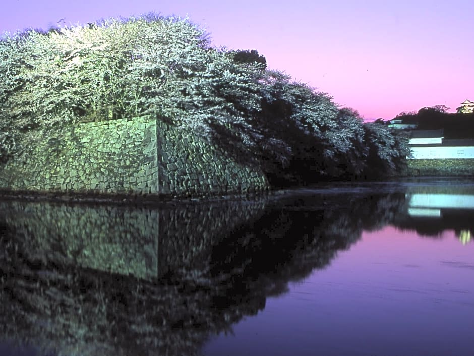 Apa Hotel Hikone Minami