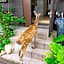 Deer hostel - 外国人向け限定 - 英語予約限定