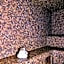 Hotel Les Roches Noires