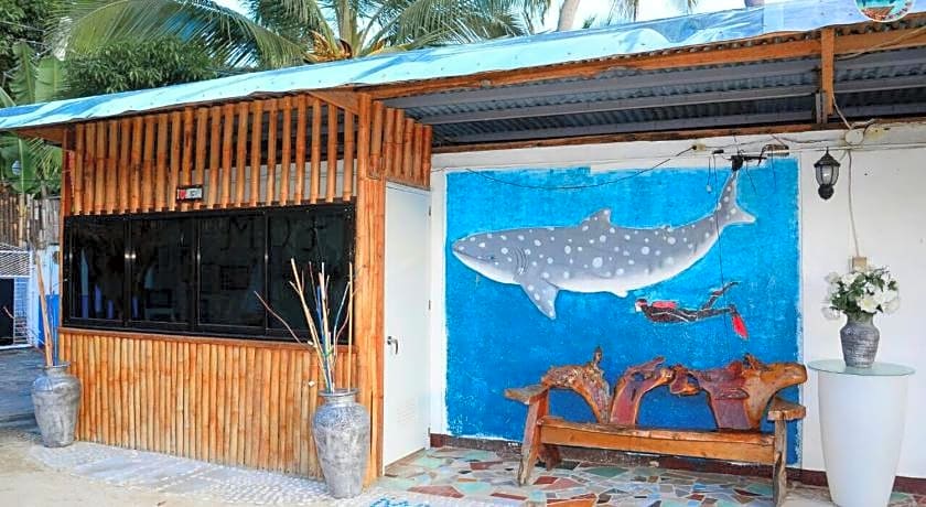 MDF Beach Resort and Day Tours near Whalesharks