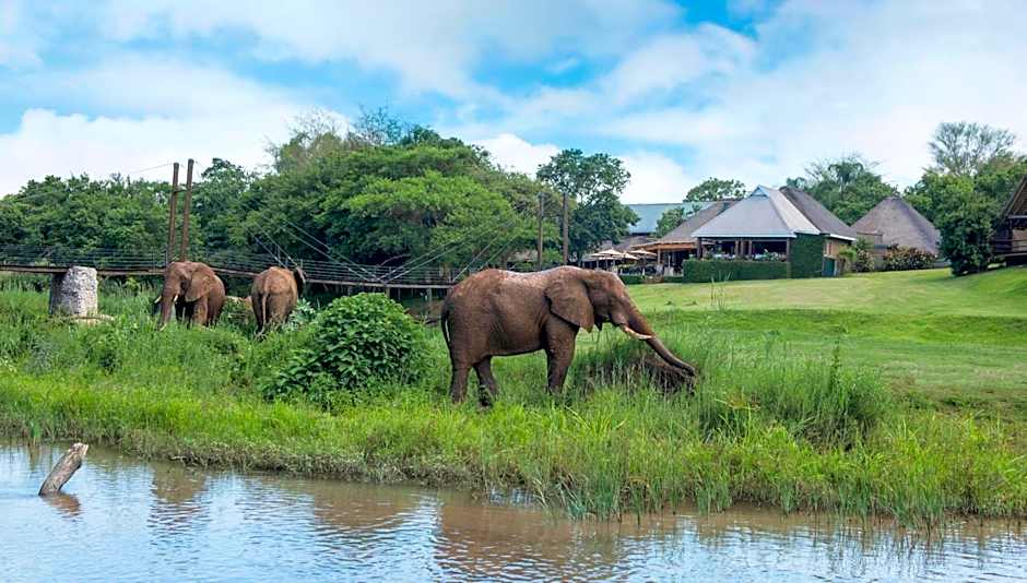 Hippo Hollow Country Estate