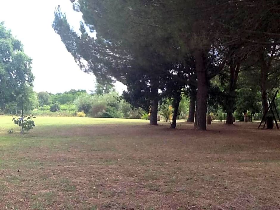 Campo alle Monache