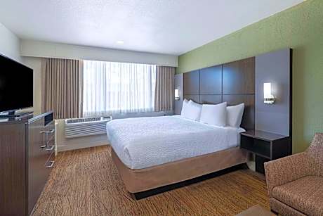 Suite-1 King Bed
