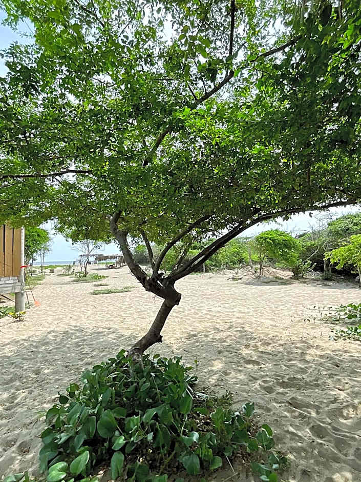 Casa Gitana -Only Adults-