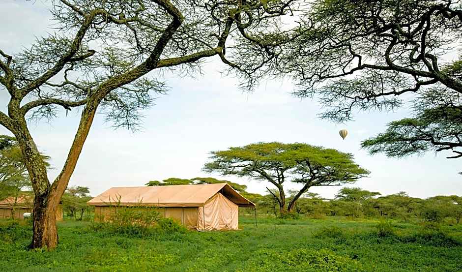 Gnu Ndutu Camp