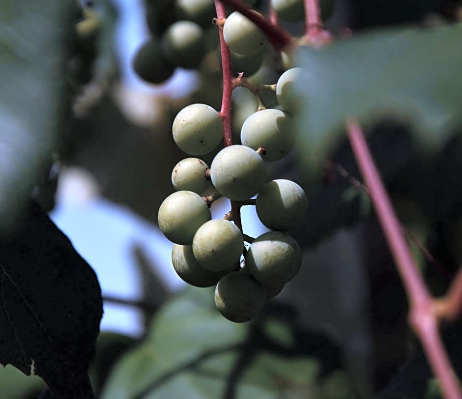 La Rocca Mia House B&B