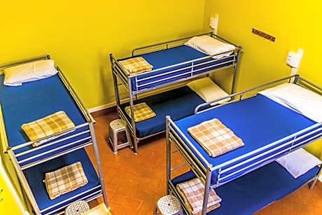 Bed in 6-Bed Mixed Dormitory Room
