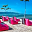 PinkCoco Gili Air - Constant Surprises & for Cool Adults Only