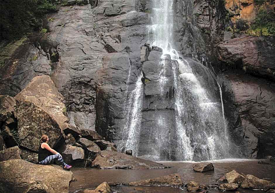 Away with the Fairies Nature Lodge and Backpackers
