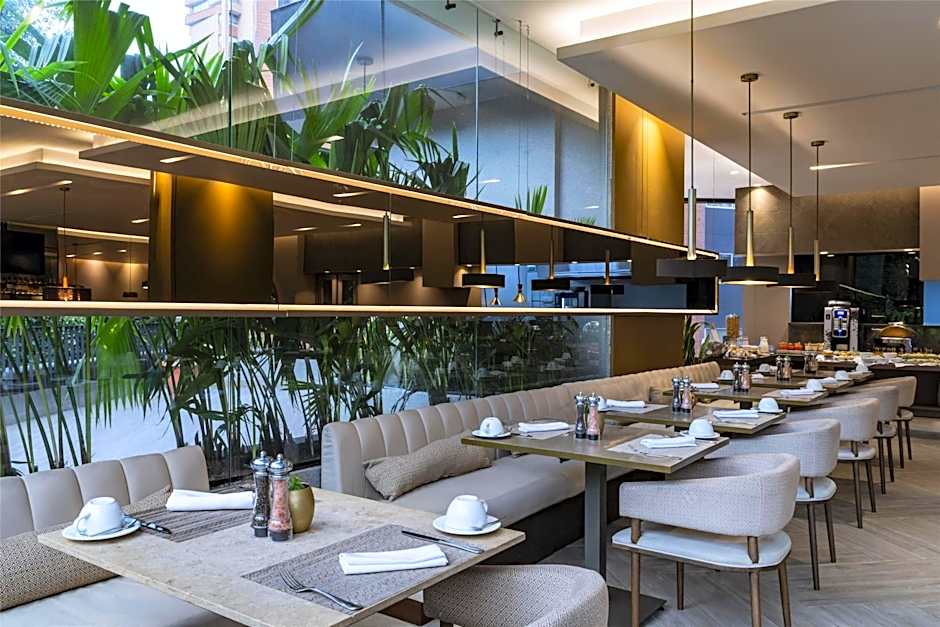 York Medellin, Curio Collection by Hilton