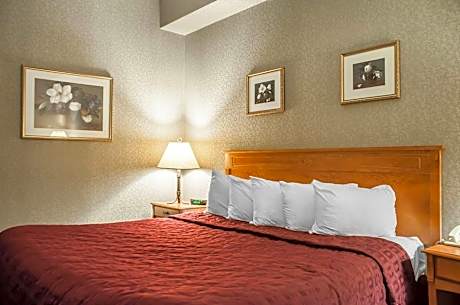 King Room - Ground Floor - Non-Smoking