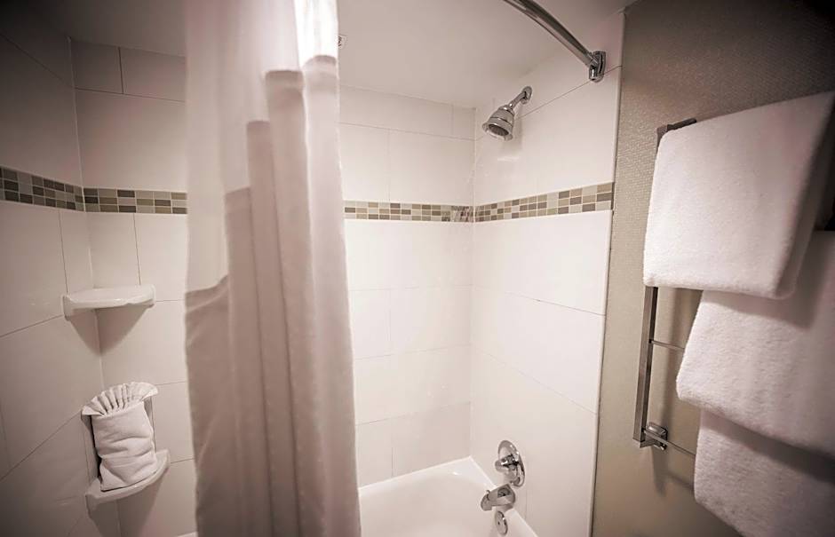Holiday Inn Raleigh Downtown By IHG