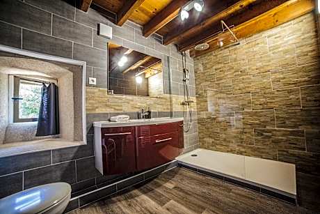 Double room-Classic-Ensuite with Shower