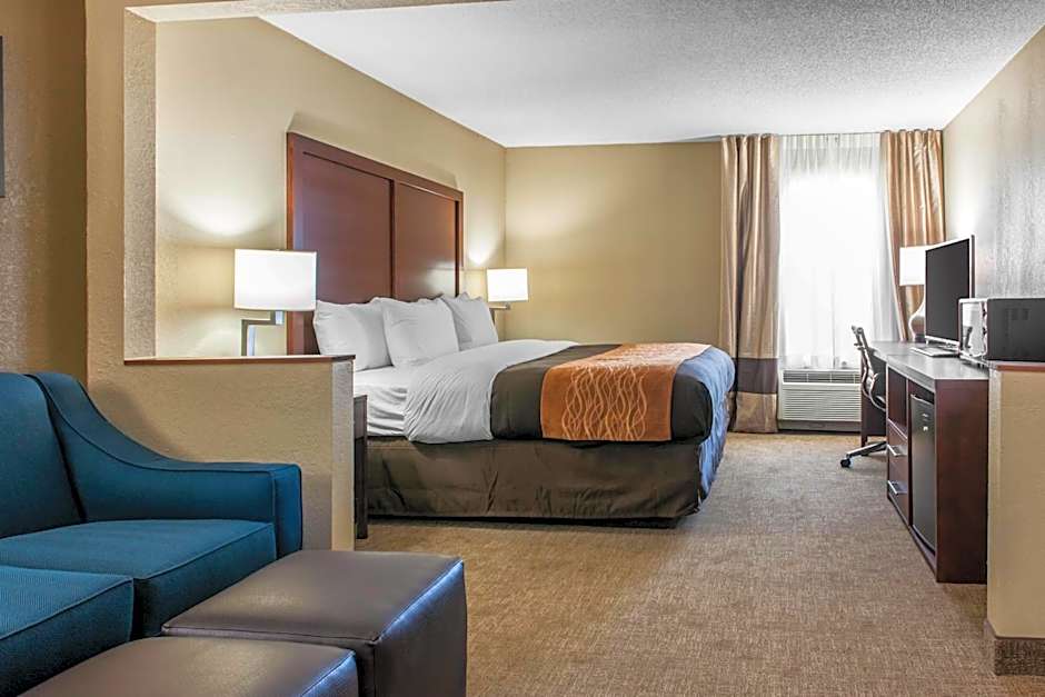 Comfort Inn Blue Ash North