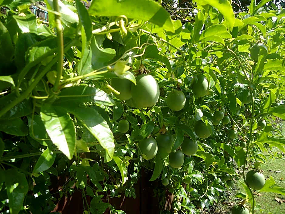 Tripinn Modern Motels & Affordable Accommodation