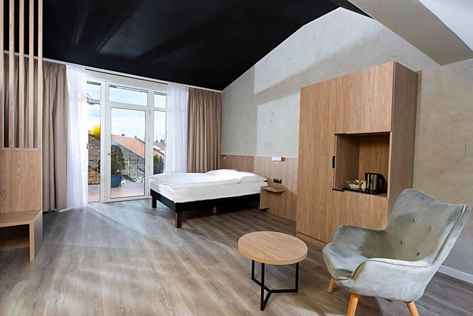 Ibis Styles Dresden Neustadt Hotel