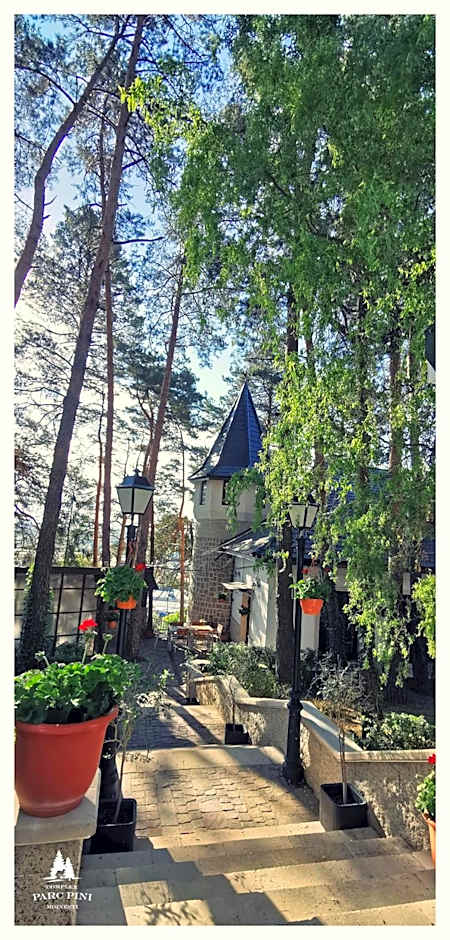 Complex Parc Pini Moinesti