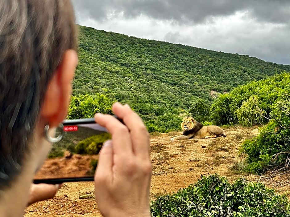 Addo Elephant Safari Lodge - Bellevue Forest Reserve