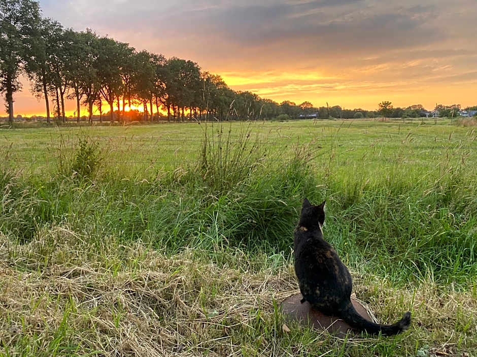 Kindvriendelijk appartement de Hooge Stukken onder de rook van Groningen