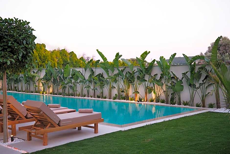 Venzi Ayayorgi-Adult Only 15