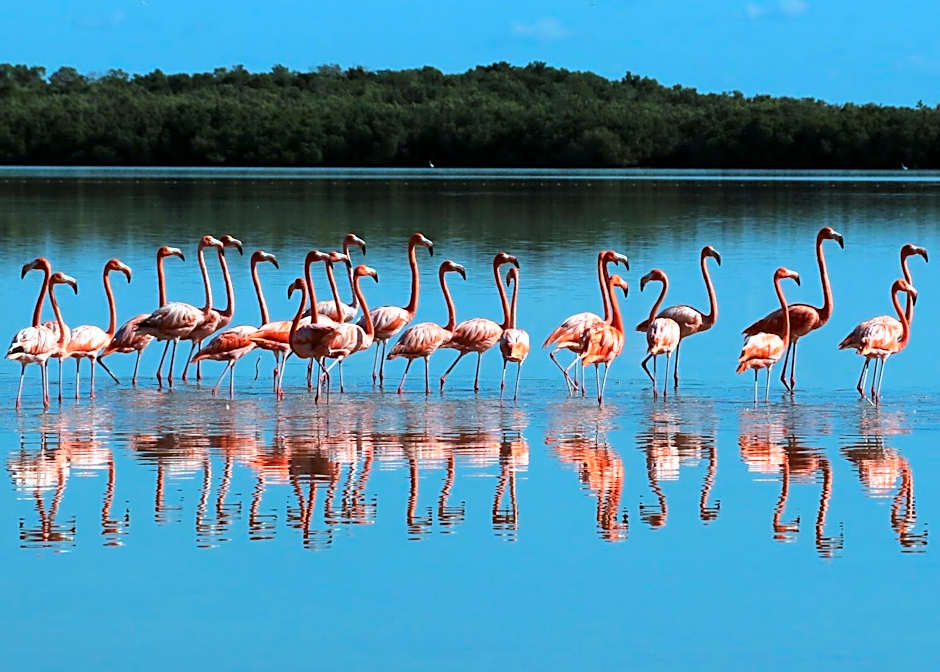 Hospedaje Wotoch Aayin