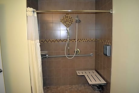 accessible - 1 queen - mobility accessible, roll in shower, non-smoking, full breakfast