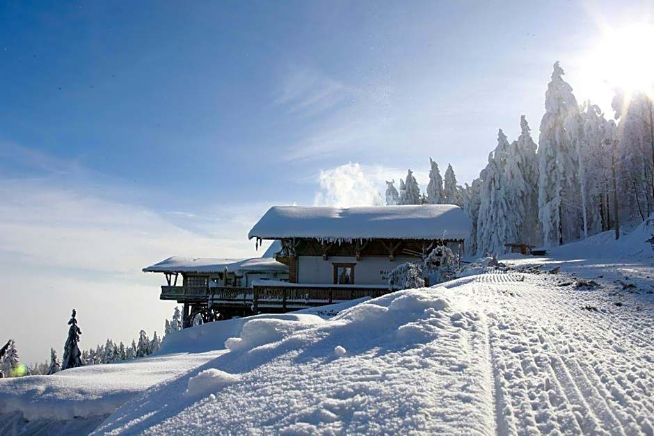 Schönblick Hohenbogen