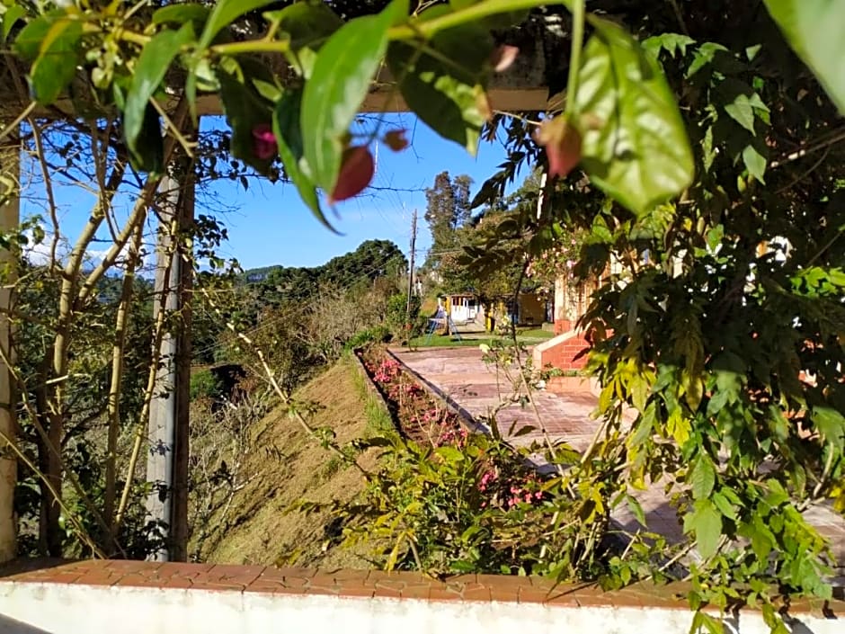 Colônia SAA