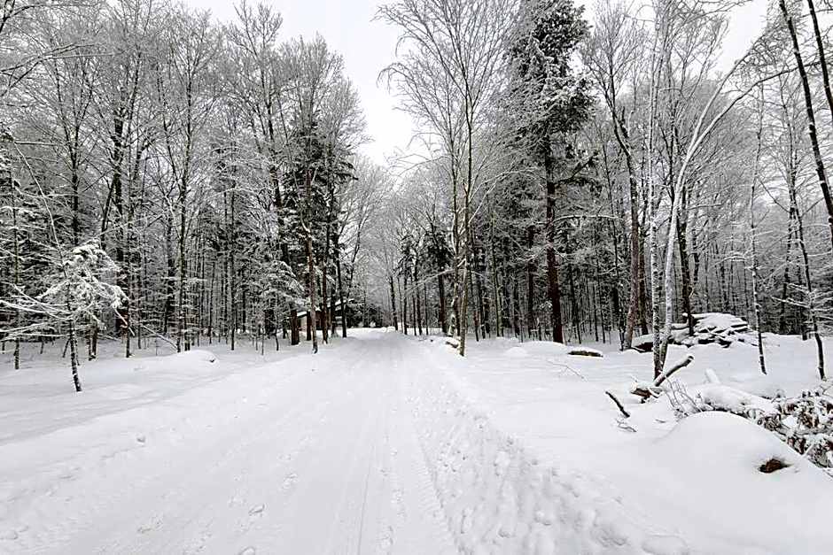 Chalet TERRE en harmonie avec la nature, Tremblant