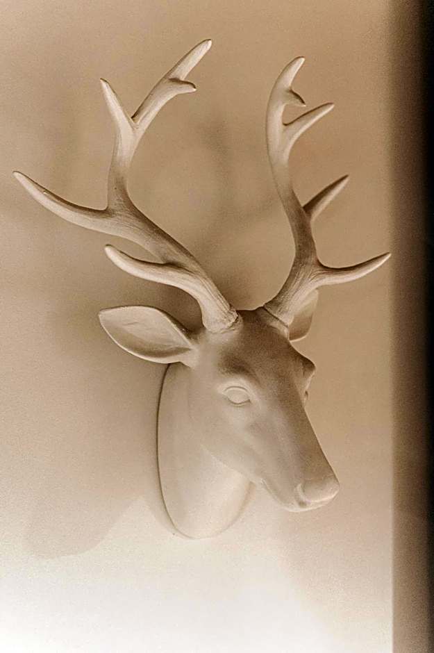 Pimont Alpine Chalet