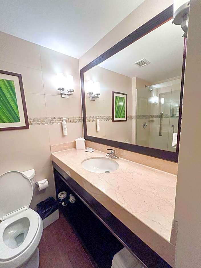 Hilton Garden Inn Panama City Downtown, Panama