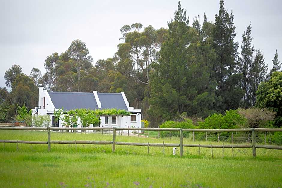 Raptor Rise Farm
