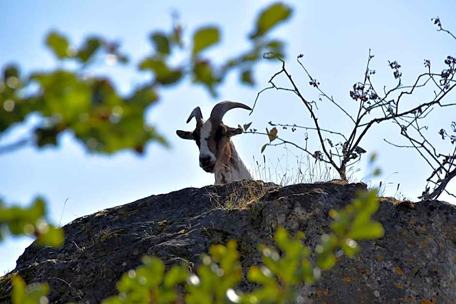 Naturfreundehaus Veilbronn