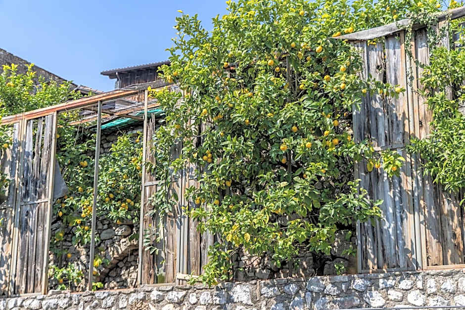 Residence Borgo Dei Limoni - Appartamenti con Garage