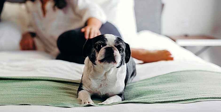 The Old No. 77 Hotel & Chandlery