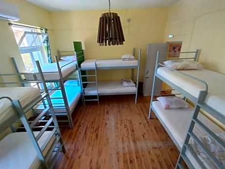 Bed in 8-Bed Mixed Dormitory Room