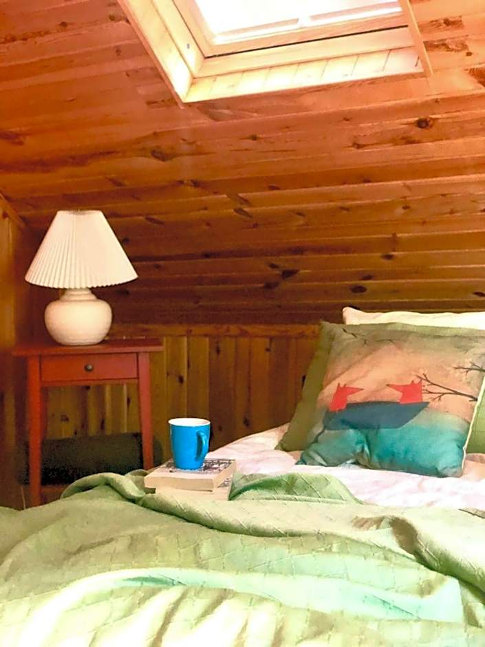 Qubalonka Saunarium Bory Tucholskie