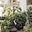 Casa Ofelia