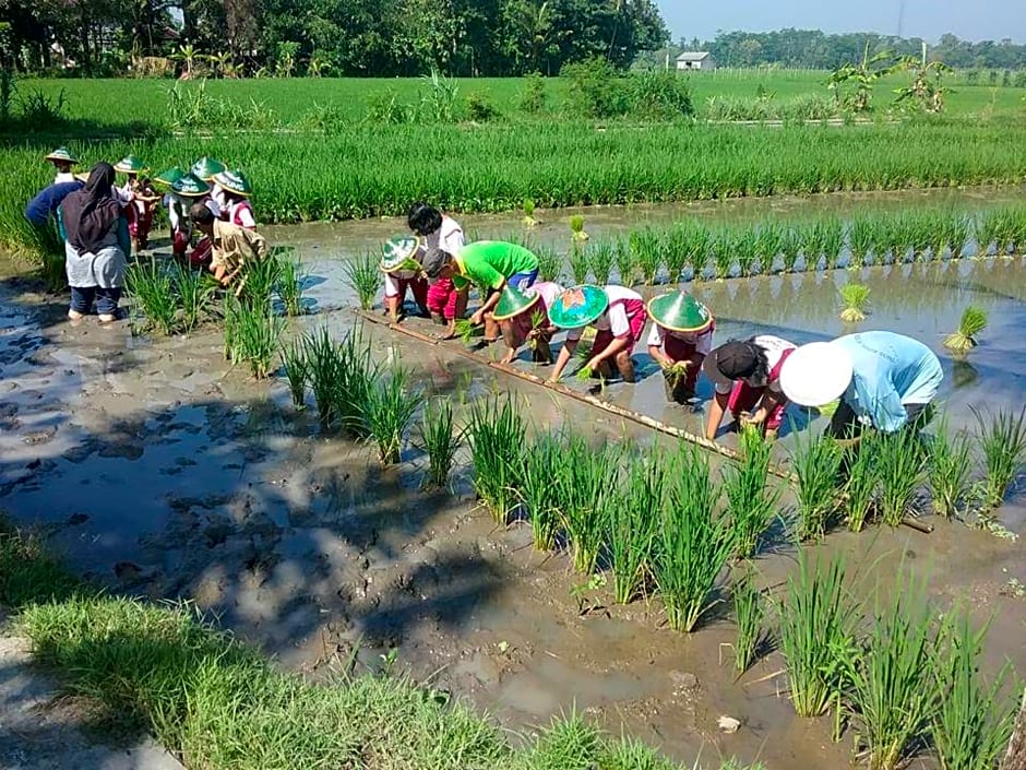 Akar Wangi 2 Homestay