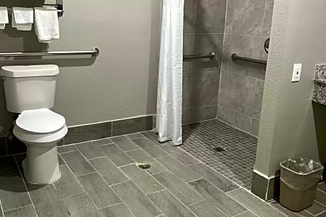 1 King Bed, Nonsmoking, Accessible