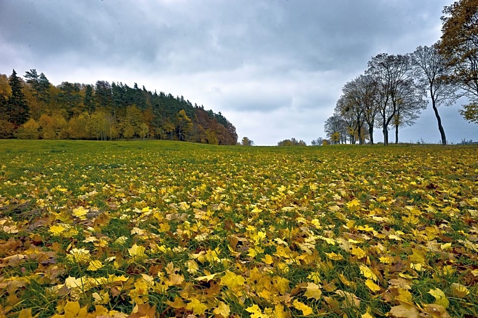 Pałac Pacółtówko