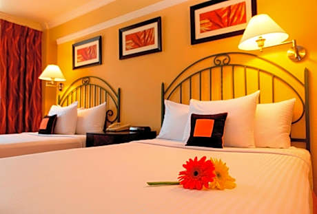 Double Room with Two Double Beds
