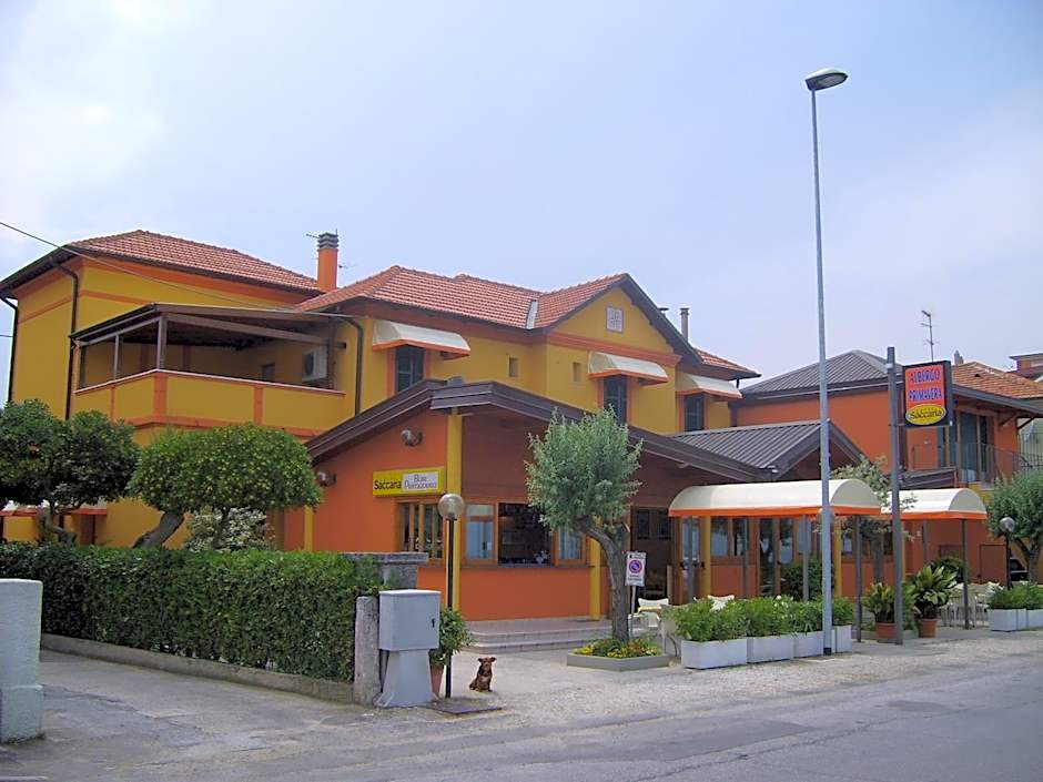 Photo 1 sur 45 de Albergo Primavera