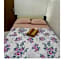 Pousada hostel praia itapua