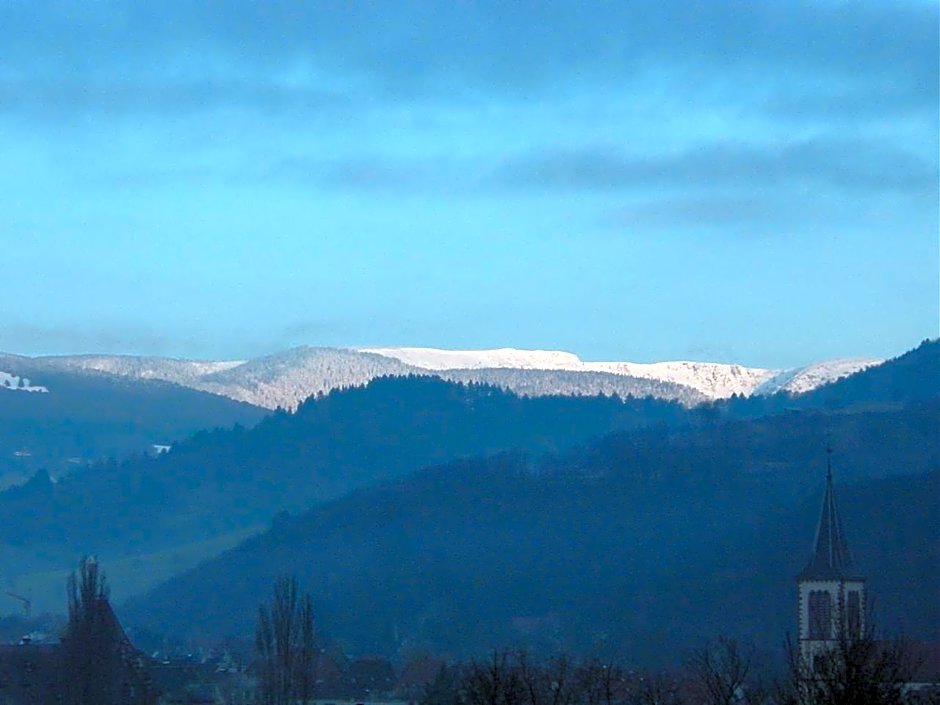 Appartements Maison Bellevue