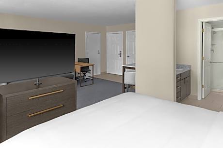 Studio with Sofa Bed