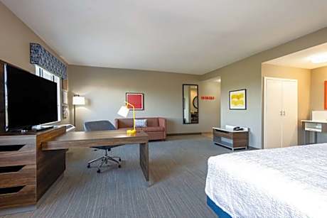 1 King Bed Studio Suite W Sofabed Nonsmoking