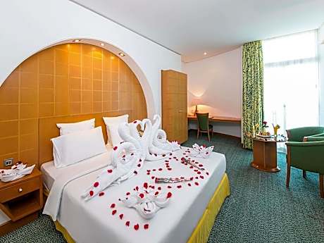 Superior Room 1 Double Bed